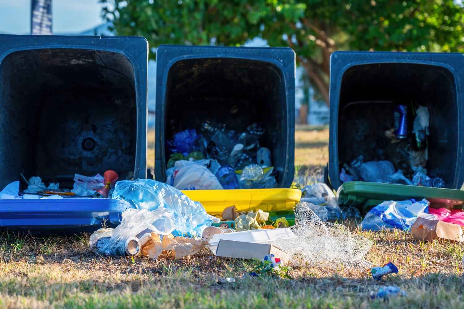 Best Local Junk Hauling  in Greer, SC